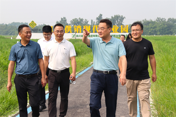 鄧華帶隊到四川供銷糧油青白江種植基地、好世紀倉儲龍泉庫調研