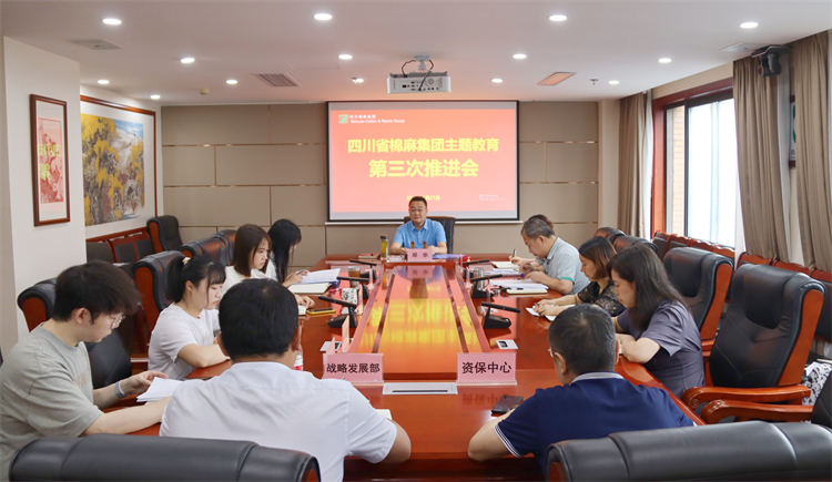 集團公司召開學(xué)習(xí)貫徹習(xí)近平新時代中國特色社會主義思想主題教育第三次推進(jìn)會
