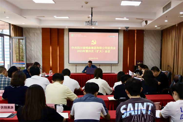 集團(tuán)公司召開2023年第25次黨委（擴大）會議