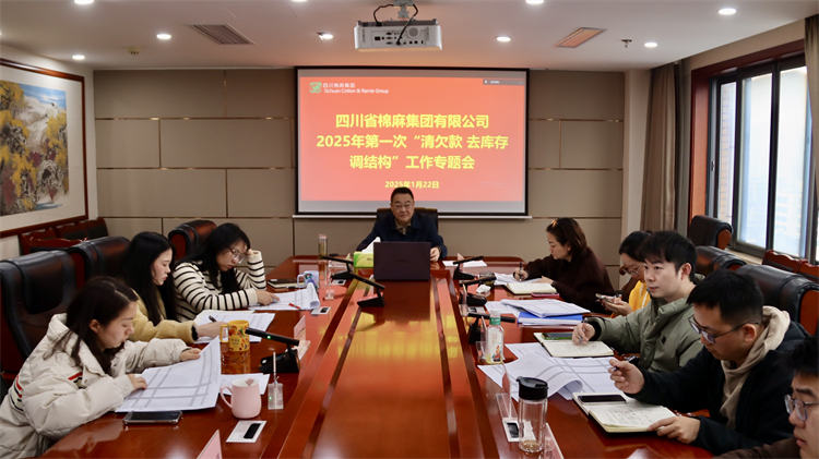 集團公司召開2025年第一次“清欠款、去庫存、調(diào)結(jié)構(gòu)”工作專題會