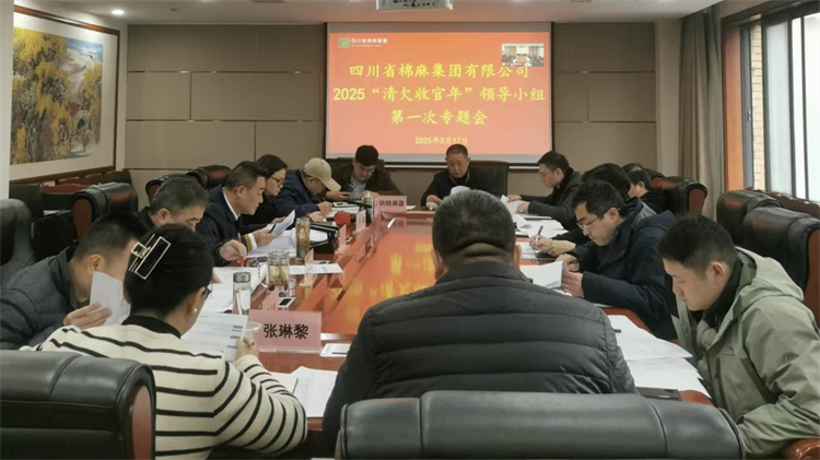 集團公司召開2025“清欠收官年”領導小組第一次專題會