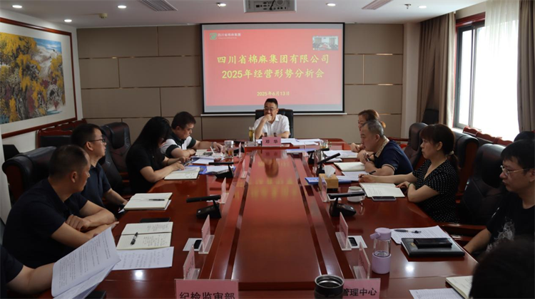 集團(tuán)公司召開(kāi)2025年經(jīng)營(yíng)形勢(shì)分析會(huì)