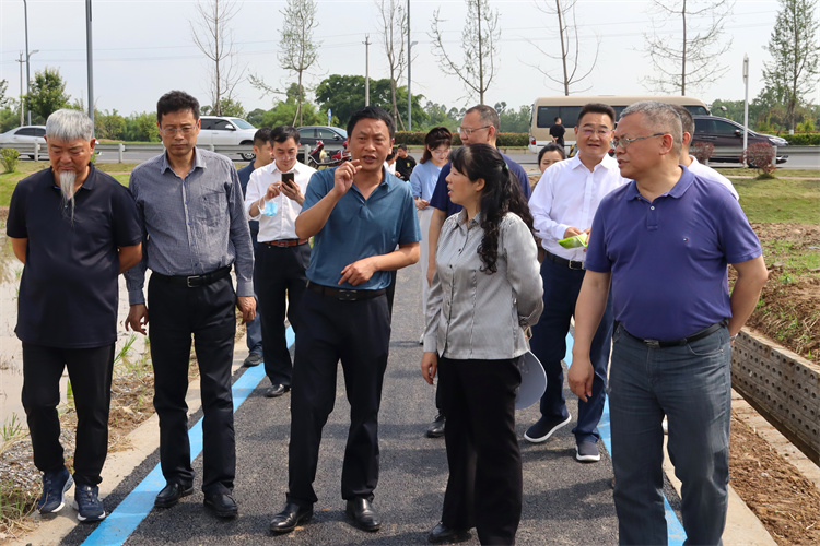 1652262357873899.jpg 13.jpg